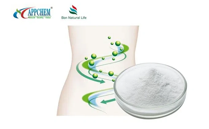 Stachyose powder