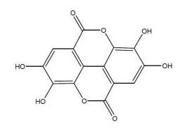 product-267-188
