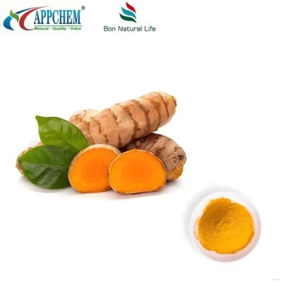 Порошок куркумина HPLC95%; Куркуминоиды; Экстракт куркумы