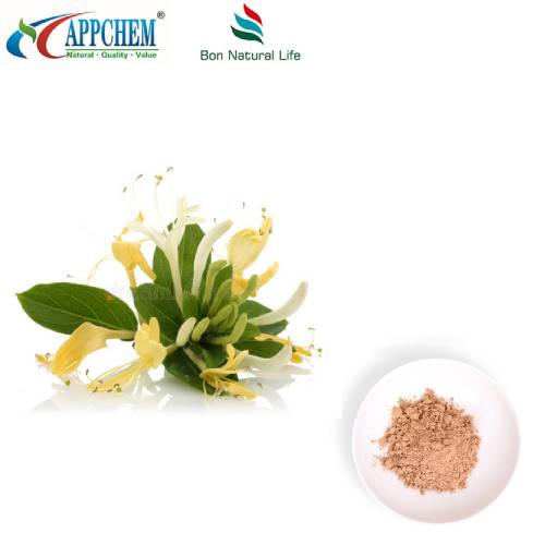 Порошок экстракта Flos Lonicerae