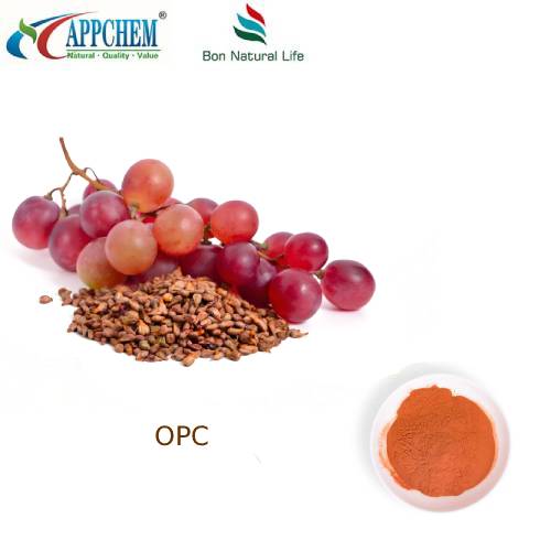 Экстракт виноградных косточек 95 OPC