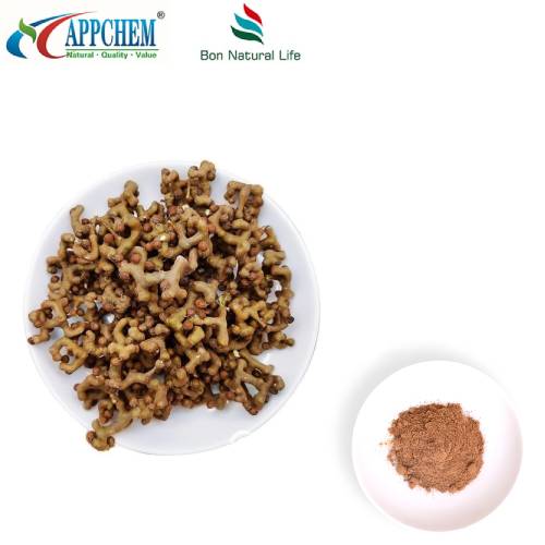 Порошок экстракта Semen Hoveniae