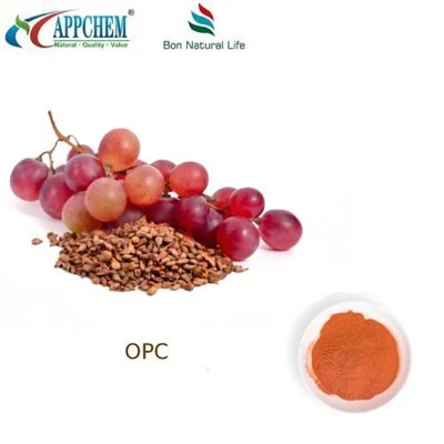 Экстракт виноградных косточек 95 OPC